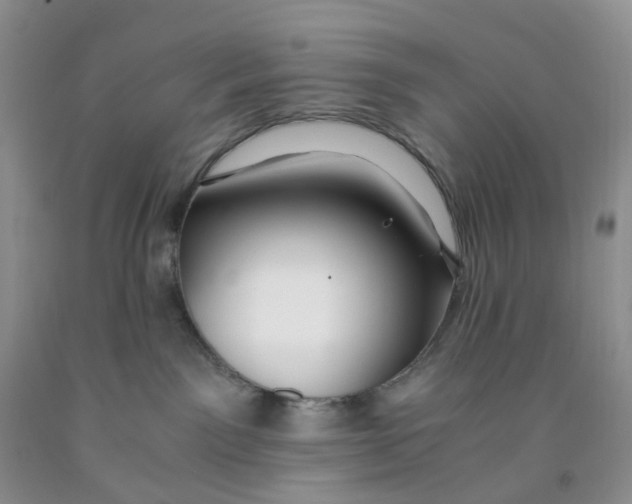 X0000091300141200709071101