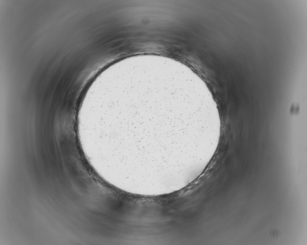 X0000091300146200709071100