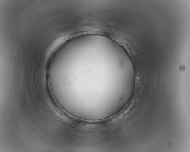 X0000091300149200709071100