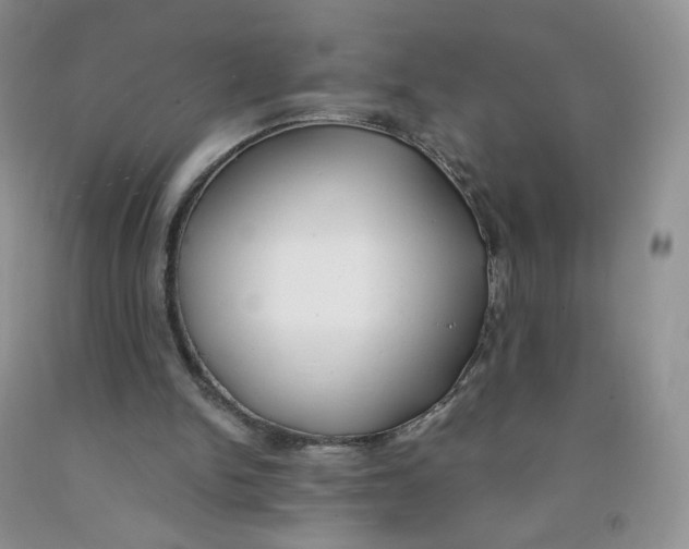 X0000091300150200709071100