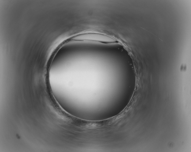 X0000091300152200709071100