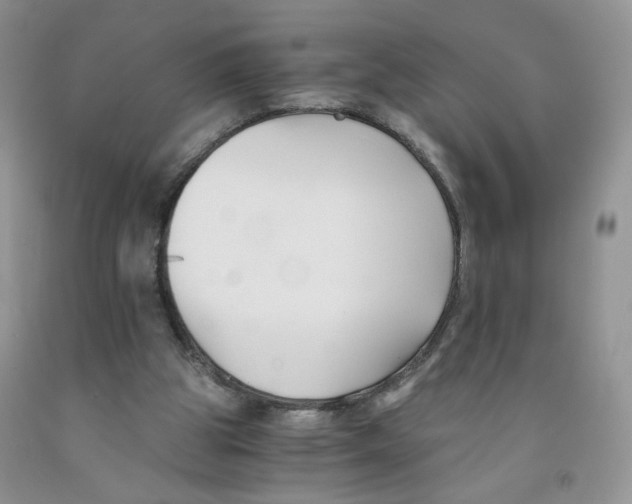 X0000091300153200709071100