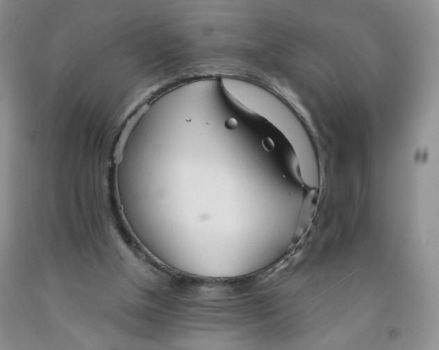 X0000091300154200709071100