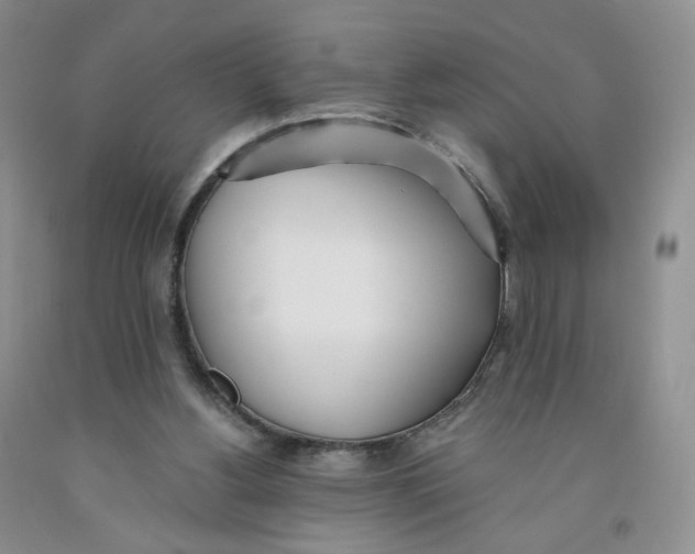 X0000091300156200709071100