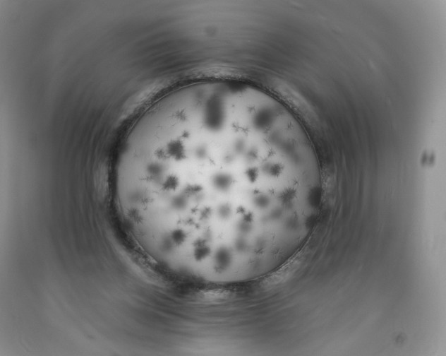 X0000091300158200709071100