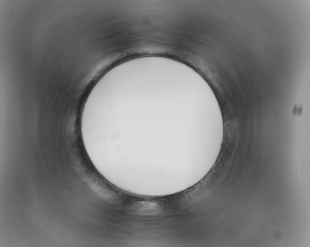 X0000091300159200709071100