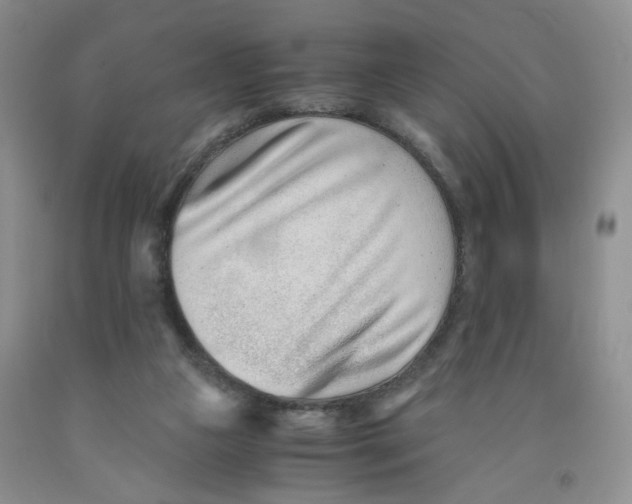 X0000091300161200709071100