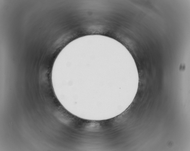 X0000091300162200709071100