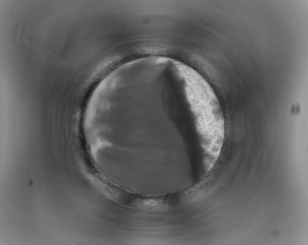 X0000091300163200709071100