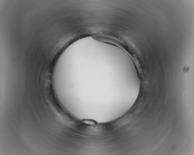 X0000091300164200709071100