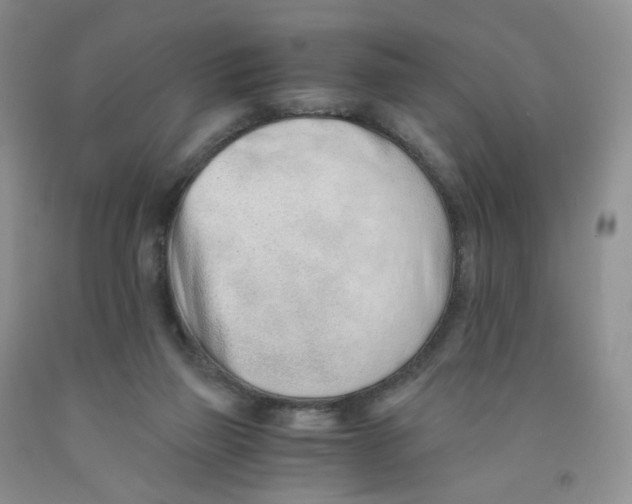 X0000091300165200709071100