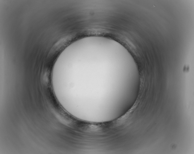 X0000091300166200709071101