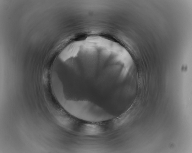 X0000091300167200709071101