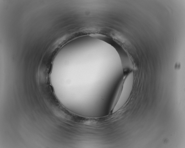 X0000091300168200709071101