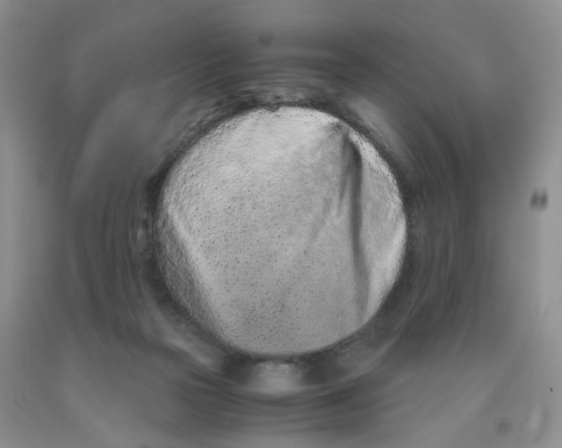 X0000091300169200709071101