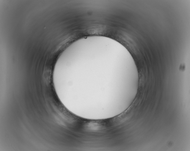 X0000091300171200709071101