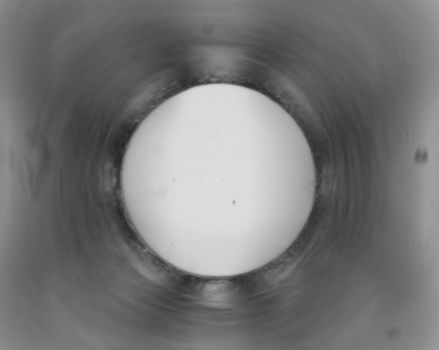 X0000091300173200709071101