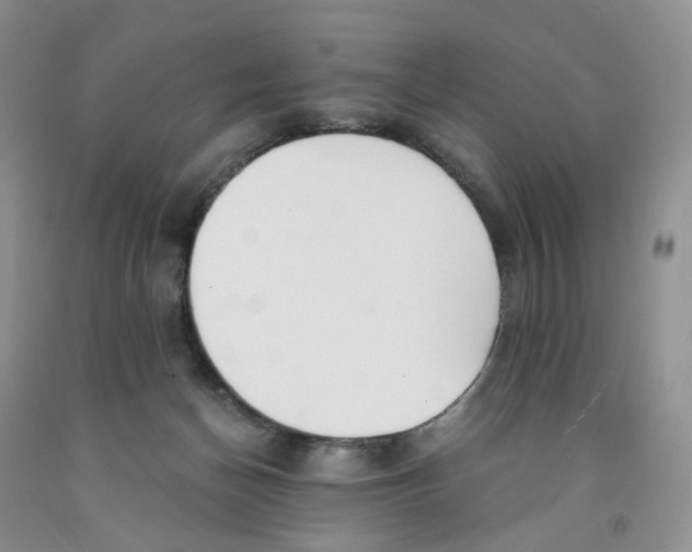 X0000091300174200709071101