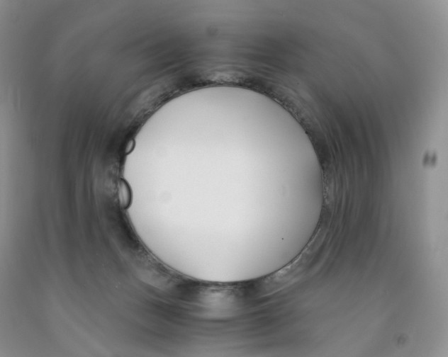 X0000091300175200709071101