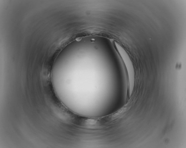 X0000091300176200709071101