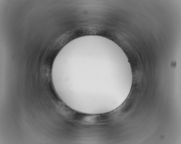 X0000091300178200709071101