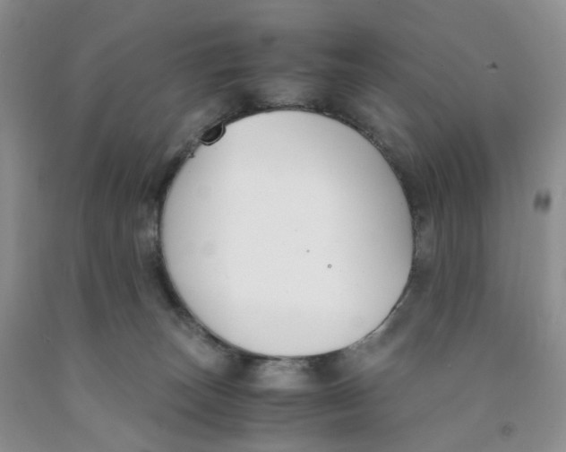 X0000091300179200709071101