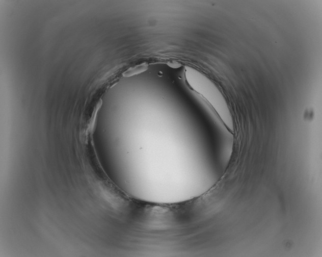 X0000091300180200709071101