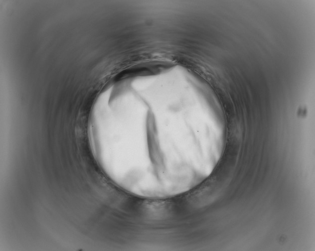 X0000091300181200709071101