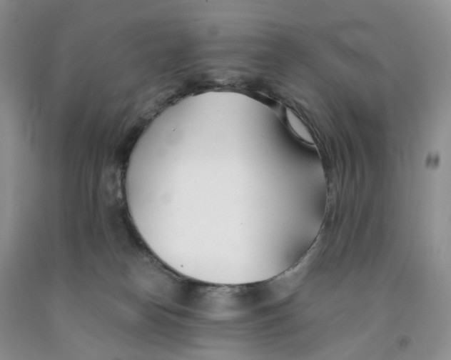 X0000091300182200709071101