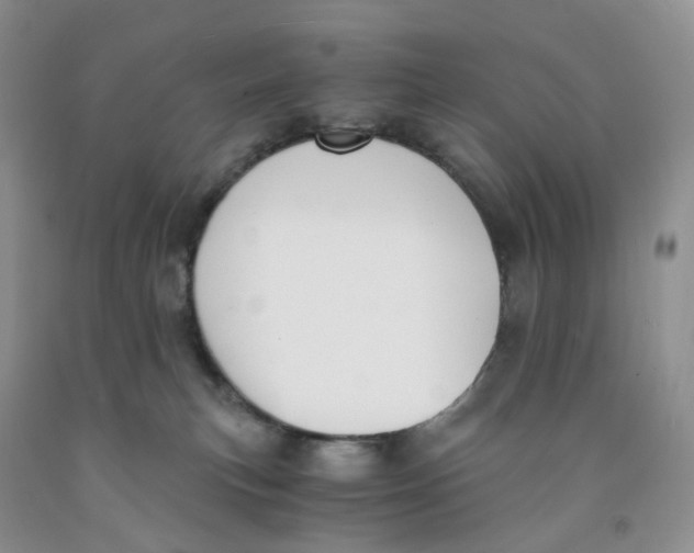 X0000091300183200709071101