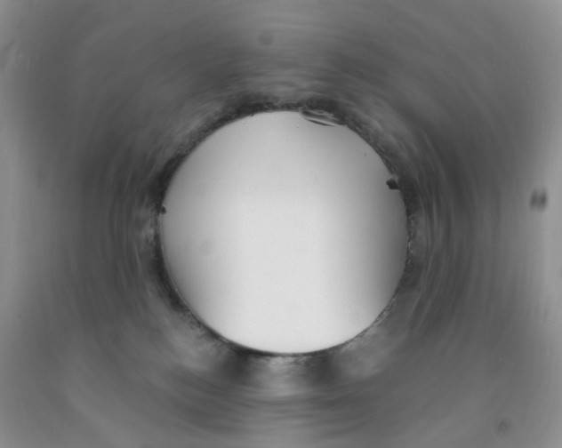 X0000091300184200709071101