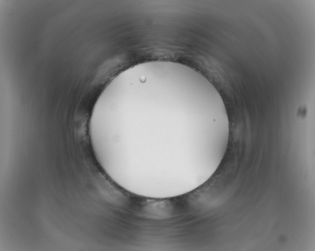 X0000091300185200709071101