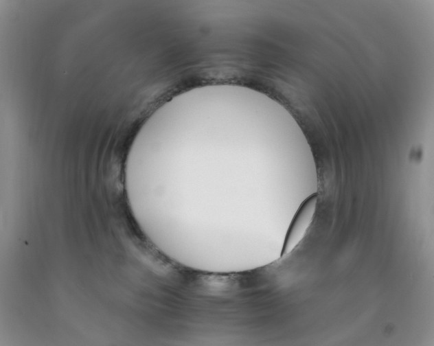 X0000091300187200709071101