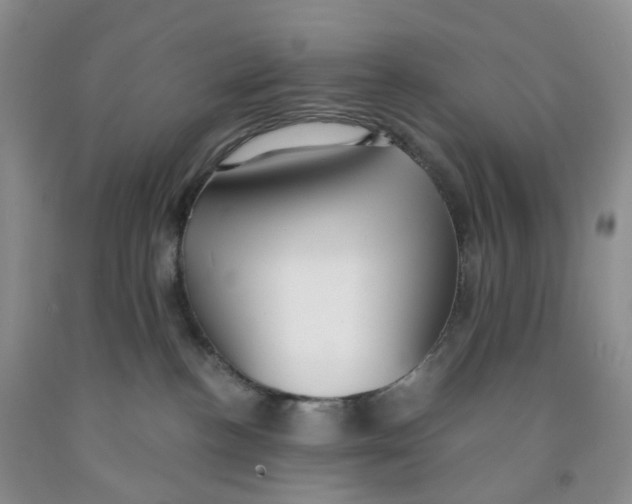 X0000091300188200709071101