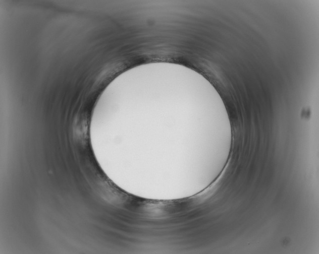 X0000091300190200709071101