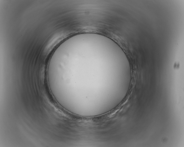 X0000091300194200709071100