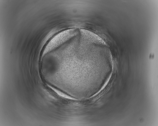 X0000091300195200709071100