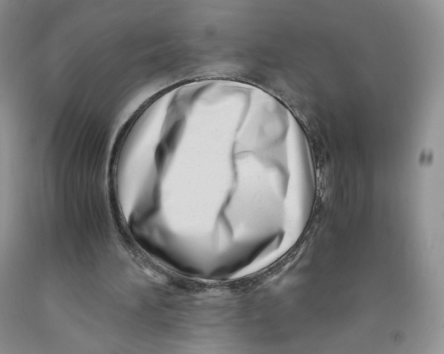 X0000091300196200709071100