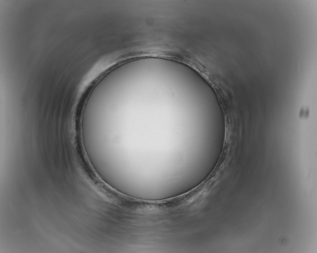 X0000091300198200709071100