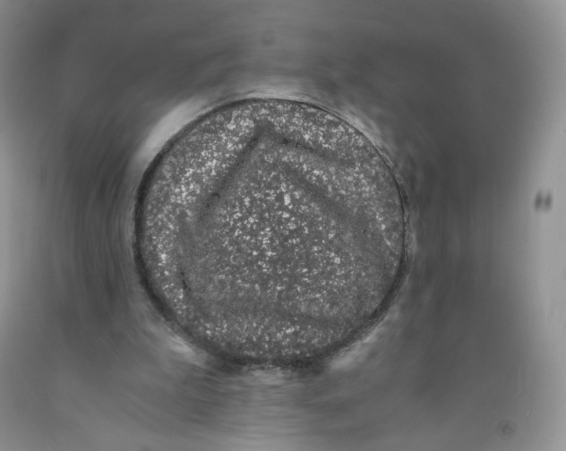 X0000091300199200709071100