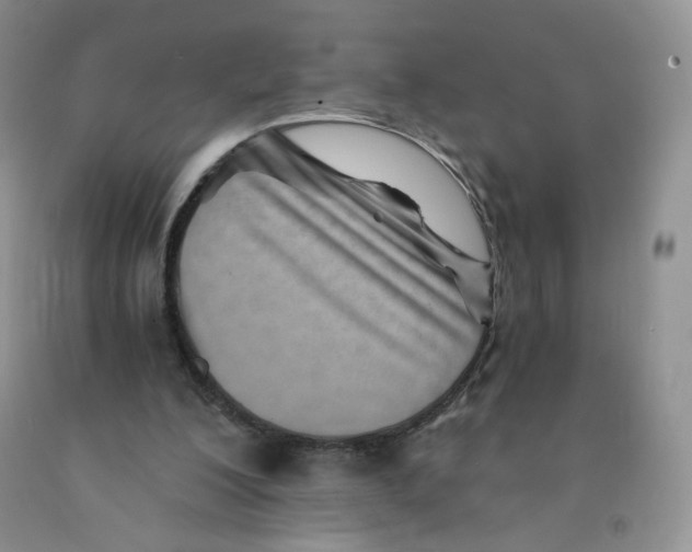 X0000091300200200709071100