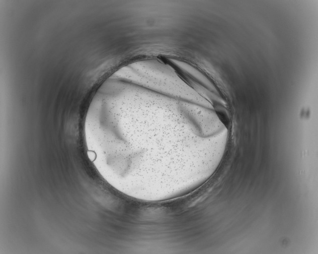 X0000091300202200709071100