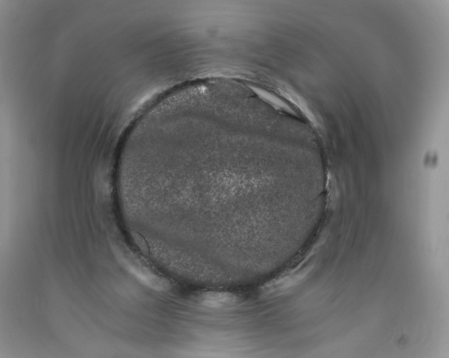 X0000091300203200709071100