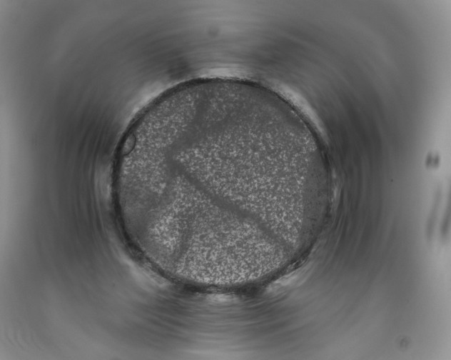 X0000091300204200709071100