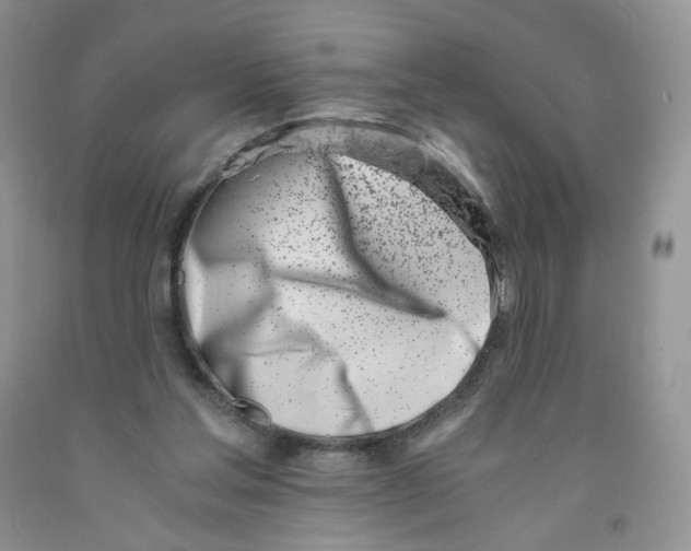 X0000091300205200709071100