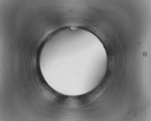 X0000091300207200709071100