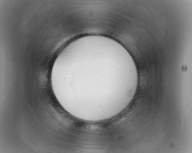 X0000091300208200709071100