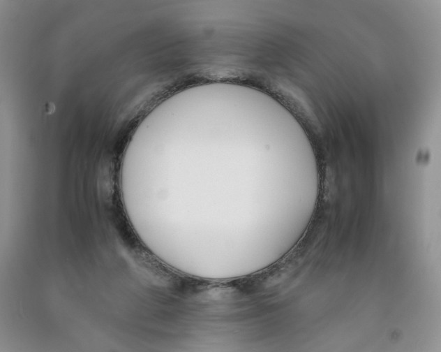 X0000091300210200709071100