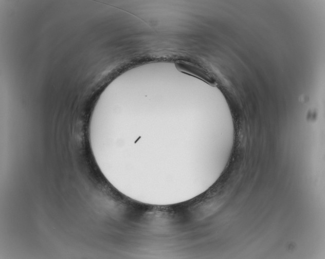 X0000091300211200709071100