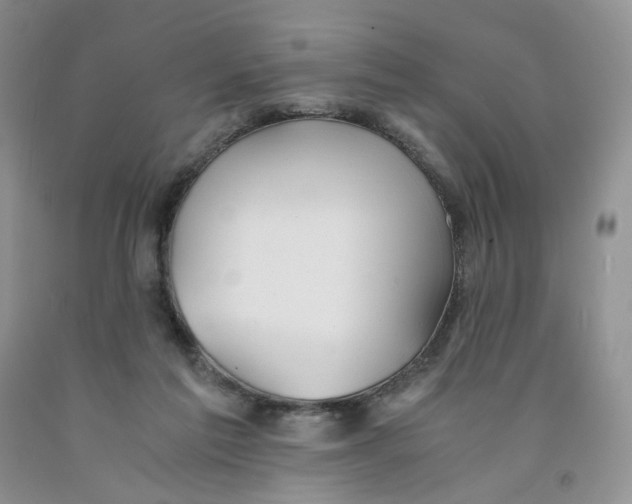 X0000091300213200709071100